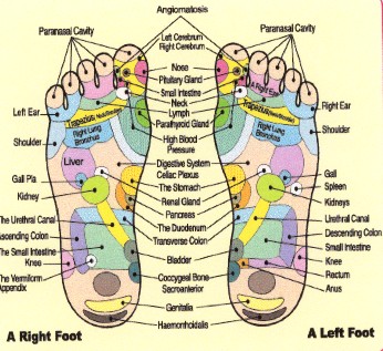 Foot Reflex Zone Chart